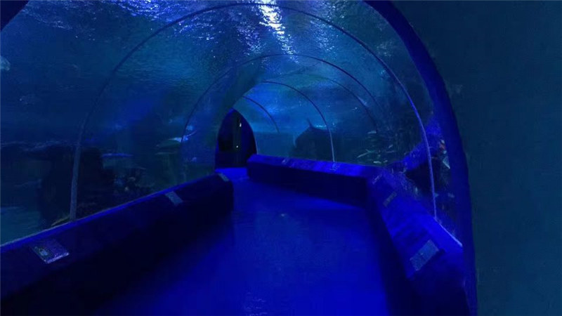 180 aŭ 90 Grado Akrilaj Paneloj por Akvario-Tunelo