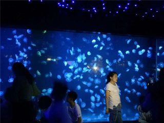 2018 akrila meduzo akvario tanko vitro