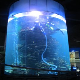 Klara akrila cilindro Granda fiŝujo por akvarioj aŭ oceana parko