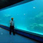 Mastrumpa muro UV akrila panelo por akvario, oceanaro