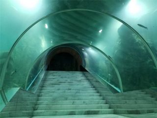 Akrila tunelo akvario projekto prezo