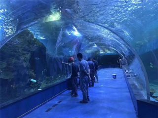 Propra plexiglass akrila tunelo akvario