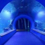 Alta klara granda akrila tunelo akvario de malsamaj formoj
