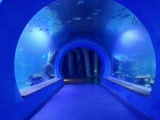 Alta klara granda akrila tunelo akvario de malsamaj formoj