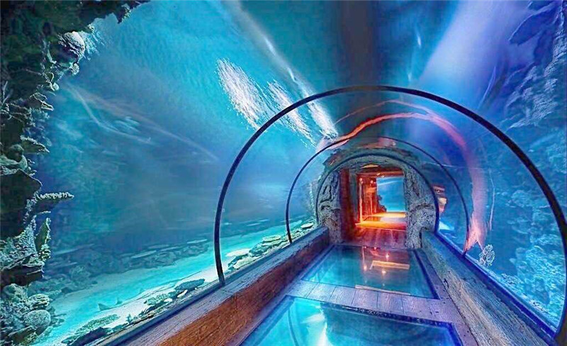 Moderna dezajno akrila akvario longa tunelo