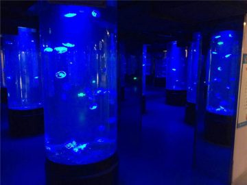 Akrila meduzo akvario tanko